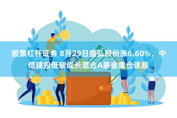 股票杠杆证券 8月29日盛弘股份涨6.60%，中信建投低碳成长混合A基金重仓该股