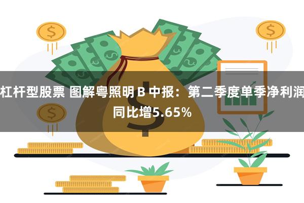 杠杆型股票 图解粤照明Ｂ中报：第二季度单季净利润同比增5.65%