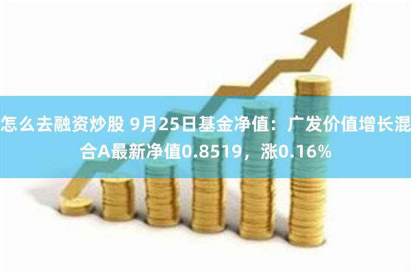 怎么去融资炒股 9月25日基金净值：广发价值增长混合A最新净值0.8519，涨0.16%