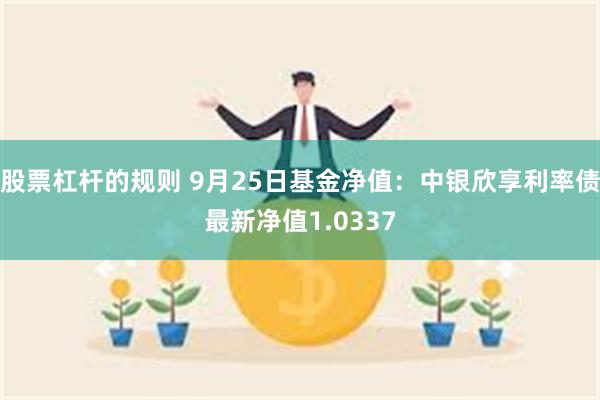 股票杠杆的规则 9月25日基金净值：中银欣享利率债最新净值1.0337