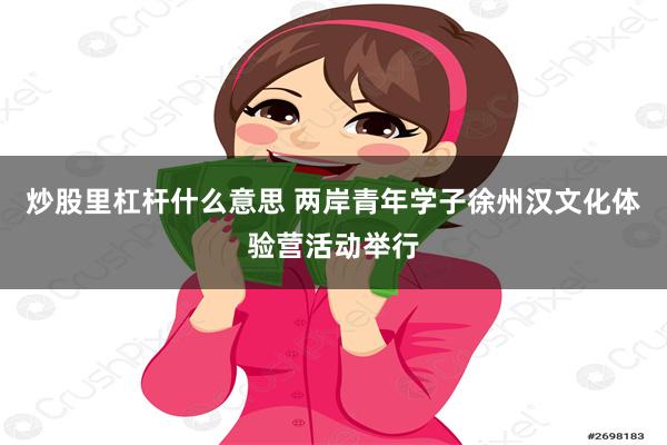 炒股里杠杆什么意思 两岸青年学子徐州汉文化体验营活动举行