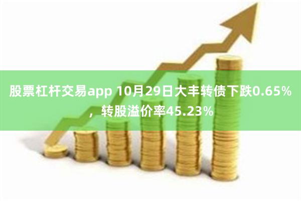 股票杠杆交易app 10月29日大丰转债下跌0.65%，转股溢价率45.23%