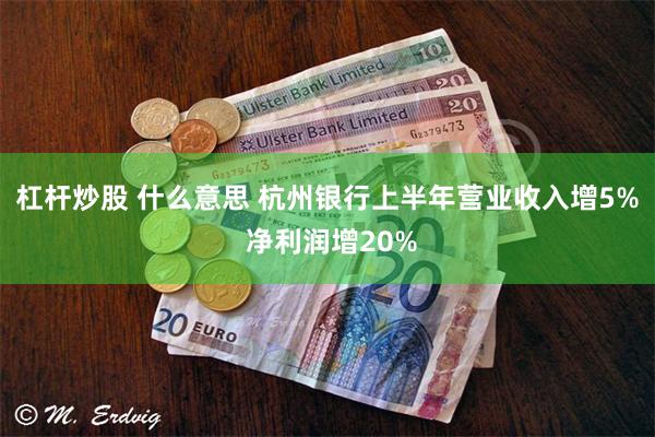 杠杆炒股 什么意思 杭州银行上半年营业收入增5% 净利润增20%