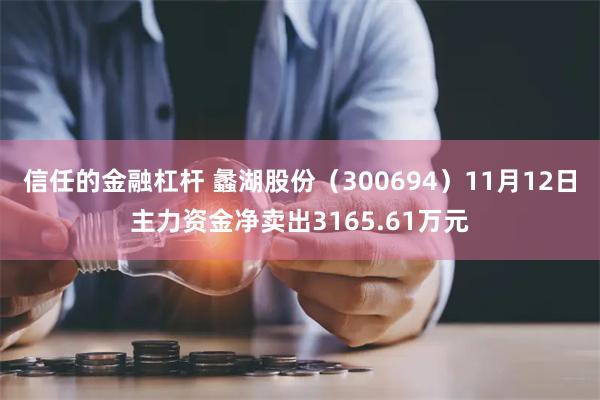 信任的金融杠杆 蠡湖股份（300694）11月12日主力资金净卖出3165.61万元