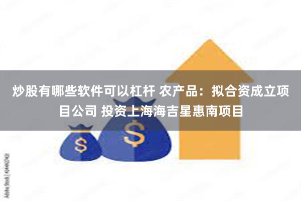 炒股有哪些软件可以杠杆 农产品：拟合资成立项目公司 投资上海海吉星惠南项目