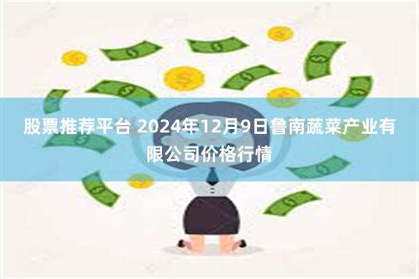 股票推荐平台 2024年12月9日鲁南蔬菜产业有限公司价格行情