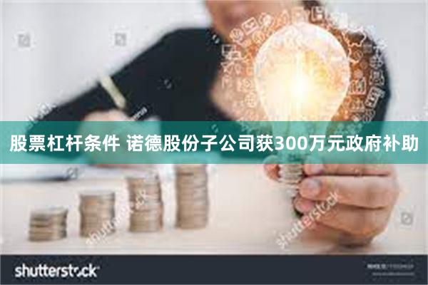 股票杠杆条件 诺德股份子公司获300万元政府补助